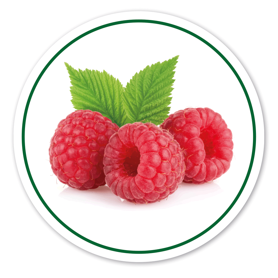 Verkaufsschild / Hofschild Himbeeren – mit Abbildung – rund