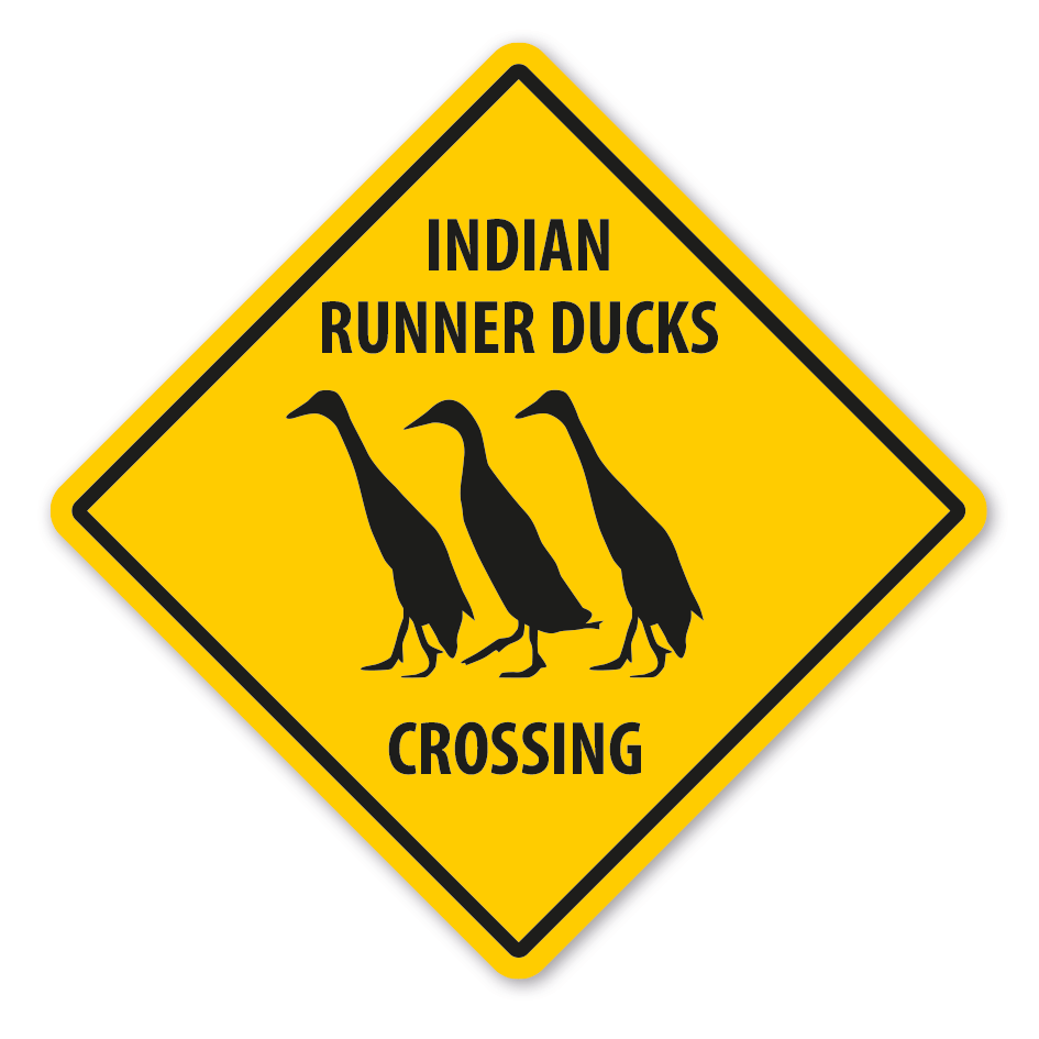 Warnschild Indian runner ducks crossing - mit und ohne Text